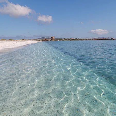 Spacious With Lovely Pool Stintino