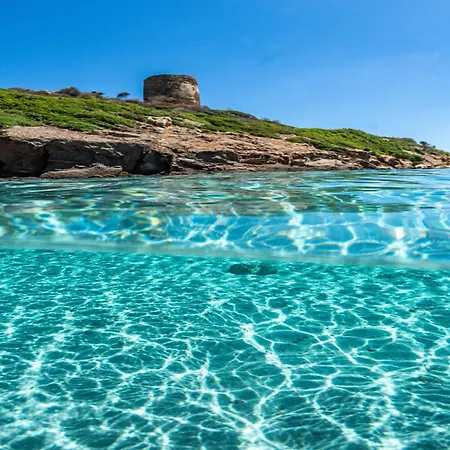 Spacious With Lovely Pool Διαμέρισμα
